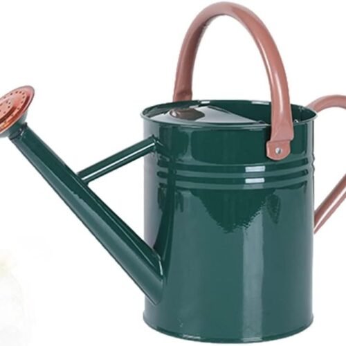Metal Watering Can for Indoor and Outdoor Plants