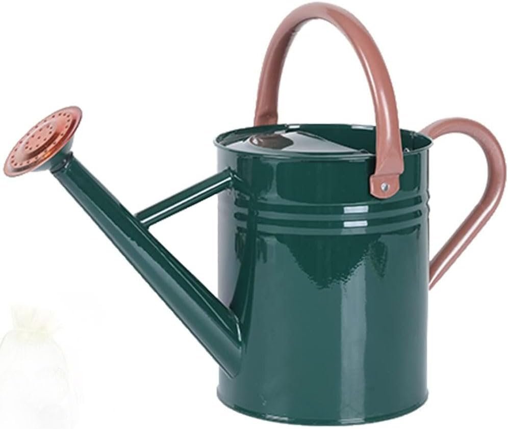 Metal Watering Can for Indoor and Outdoor Plants