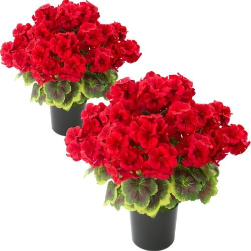 Geranium Potted Artificial Flowers Fake Geraniums