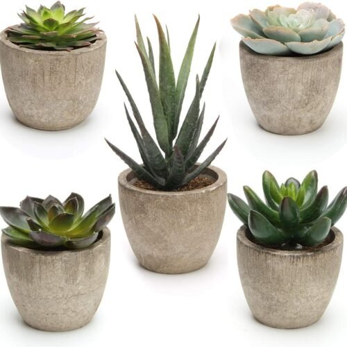 Artificial Succulent Plants Potted Faux Succulent Fake Cactus