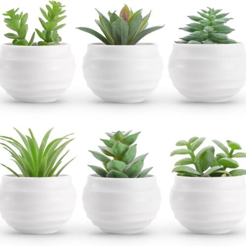 Artificial Succulents in Pots Small Fake Plants