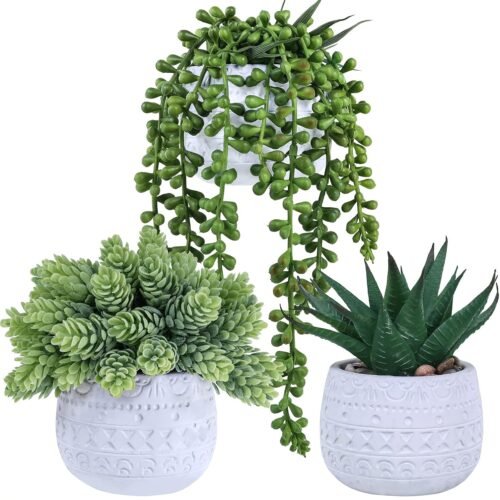 Assorted Small Potted Succulent Plants Artificial Aloe